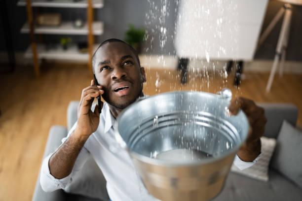 Best Flooded house restoration  in Turnersville, NJ