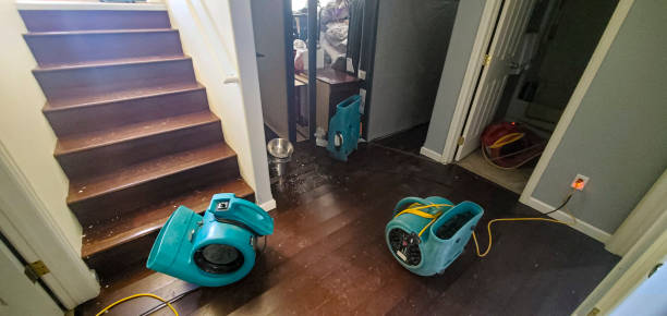 Best Local water damage restoration  in Turnersville, NJ