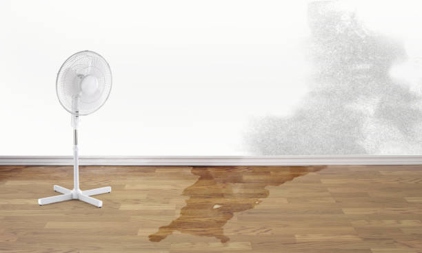 Best Water damage restoration experts  in Turnersville, NJ