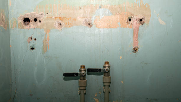 Best Mold removal after water damage  in Turnersville, NJ