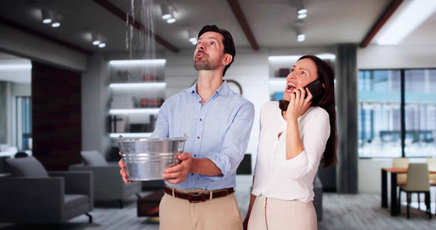 Best Basement water damage restoration  in Turnersville, NJ